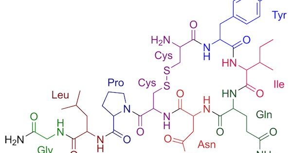 oxytocin for autism treatment image